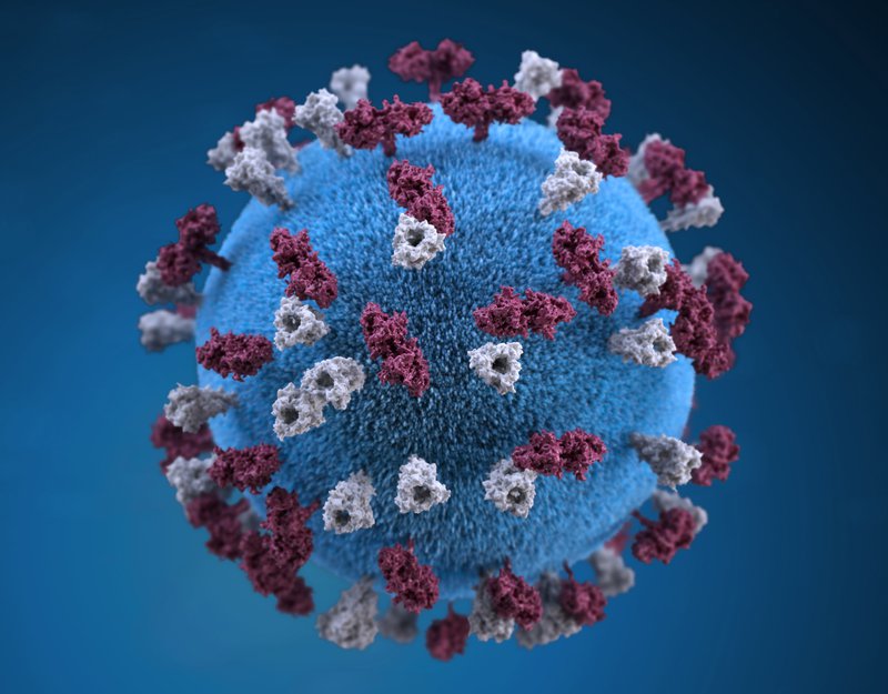 coronavirus1.jpg